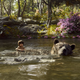 Unlike the 1967 film, this Jungle Book isn’t a musical. But there are musical elements. So expect to hear Baloo (above, voiced by Bill Murray) do something with The Bear Necessities.